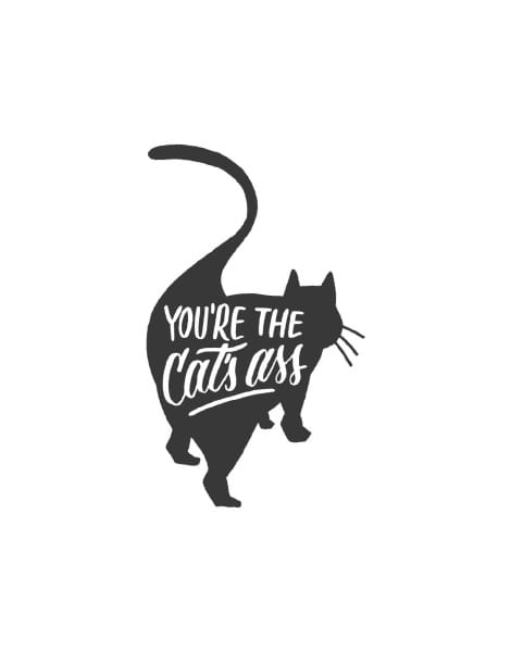 A black cartoon cat has written on it, in white: "You're the cat's ass."